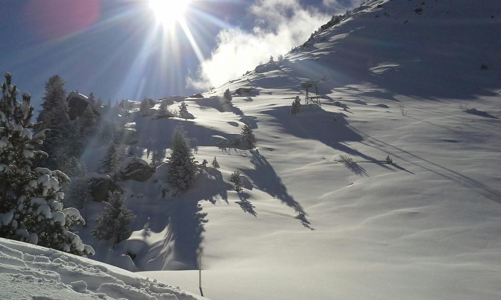 Gastehaus Rieser Hotel Ried im Zillertal Ngoại thất bức ảnh
