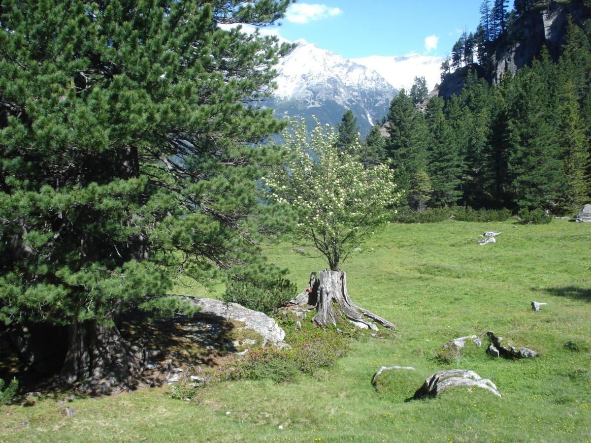Gastehaus Rieser Hotel Ried im Zillertal Ngoại thất bức ảnh